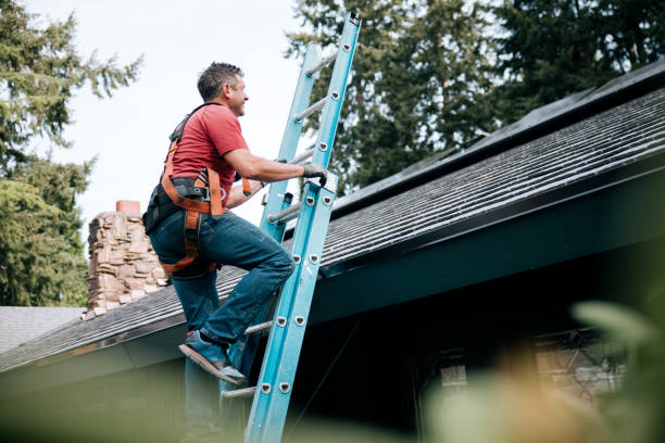 Best Gutter Replacement  in Laflin, PA