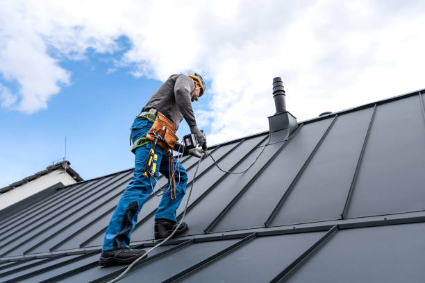 Best Sheet Metal Roofing  in Laflin, PA